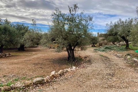 Finca i El Perello, Tarragona, El Perello - € 77.000 | Ref: Finca Manu Ampo - foto 32